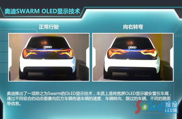 Wswarm OLED@ʾg